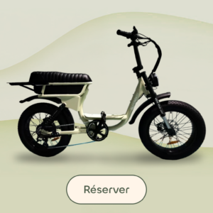 Vélo électrique à deux places Partner disponible en location à Biarritz chez Bloomway