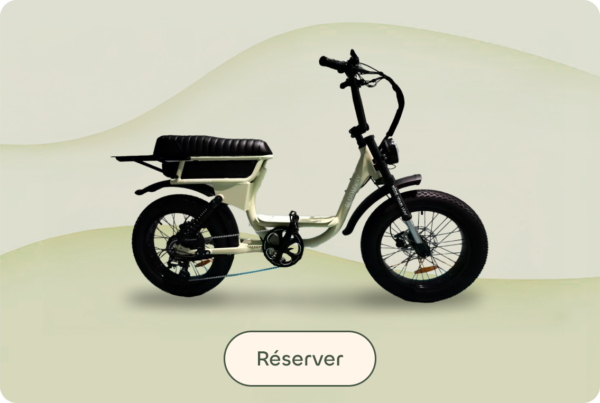 Vélo électrique à deux places Partner disponible en location à Biarritz chez Bloomway